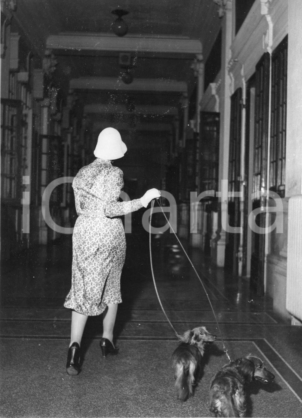 Fotografia d epoca originale 1955 GENOVA Luise RAINER alla stazione marittima con i suoi cani  Foto 1 1