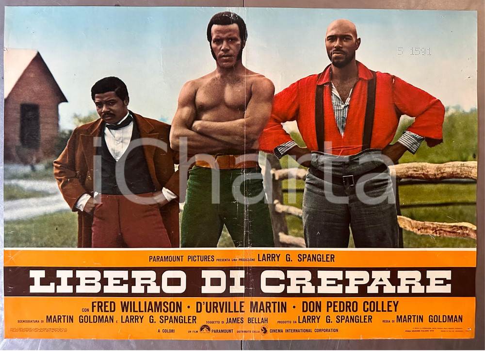 Materiale cinematografico d’epoca 1973 Freddy WILLIAMSON D Urville MARTIN Libero di crepare  Fotobusta poster 1