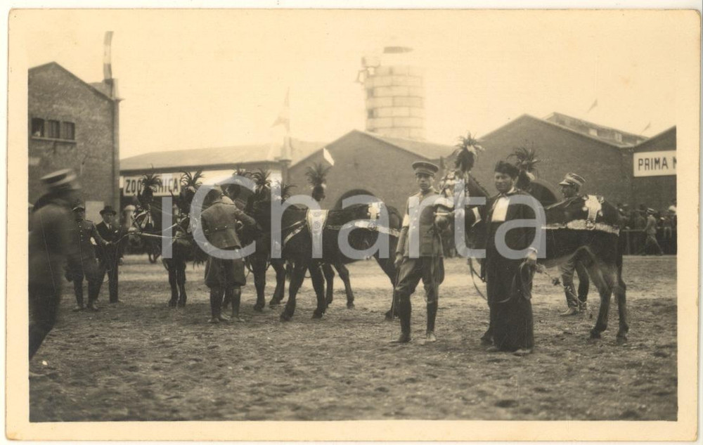 Fotografia d epoca originale 1930 MILANO Fiera  1 Mostra Nazionale Zootecnica  Equini CATANIA Foto 2 1