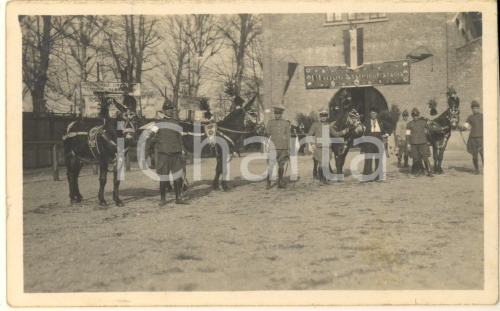 Fotografia d epoca originale 1930 MILANO Fiera  Prima Mostra Nazionale Zootecnica  Equini CATANIA Foto 1