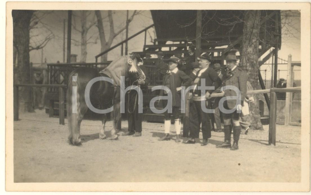 Fotografia d epoca originale 1930 MILANO Fiera 1 Mostra Nazionale Zootecnica  Cavalli aveglinesi Alto Adige 1