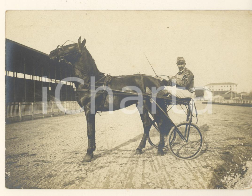 Fotografia d epoca originale 1900 MILANO Ippodromo del Trotto  Cavallo e driver nel sulky Foto 10x13 cm 1