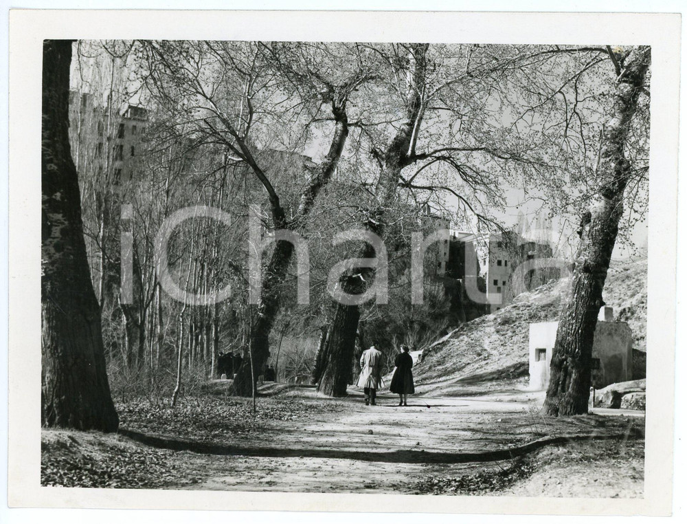 Materiale cinematografico d’epoca 1956 CINEMA Calle Mayor José SUAREZ Betsy BLAIR Regia Juan Antonio BARDEM Foto 1