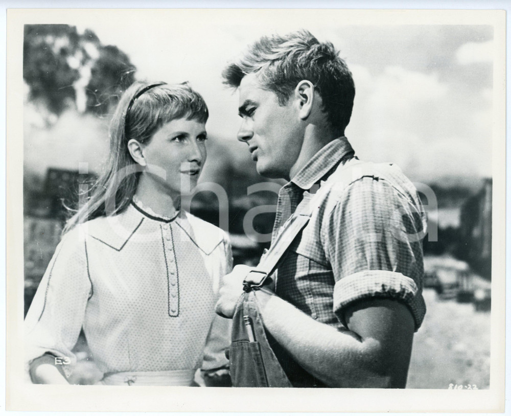 Fotografia d epoca originale 1955 EAST OF EDEN James DEAN Julie HARRIS Movie by Elia KAZAN Photo 25x20 cm 1