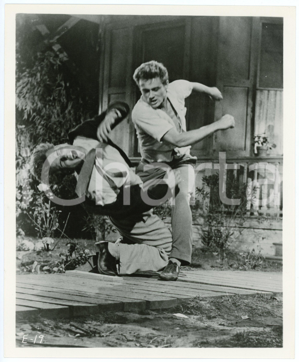 Fotografia d epoca originale 1955 EAST OF EDEN James DEAN Richard DAVALOS Movie by Elia KAZAN Photo 20x25 cm 1