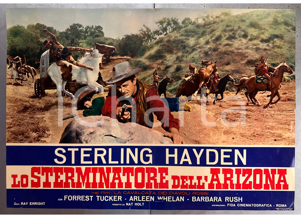 Materiale cinematografico d’epoca 1952 Sterling HAYDEN La cavalcata dei diavoli rossi  Fotobusta WESTERN 3 1