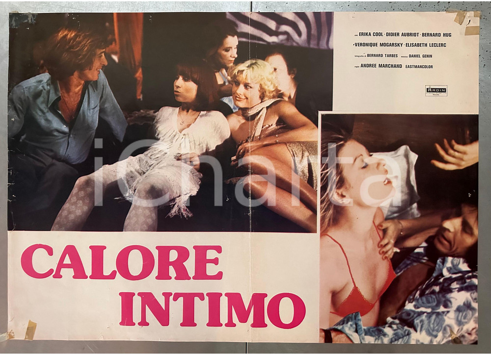 Materiale cinematografico d’epoca 1977 Erika COOL Didier AUBRIOT Calore intimo Poster EROTICO DANNEGGIATO 1