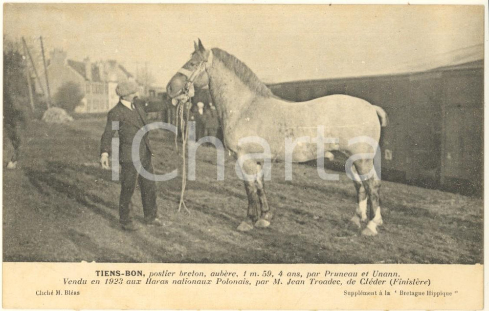 Cartolina originale da collezione 1925 ca BRETAGNE HIPPIQUE  TIENSBON postier breton aubère  Postcard 1