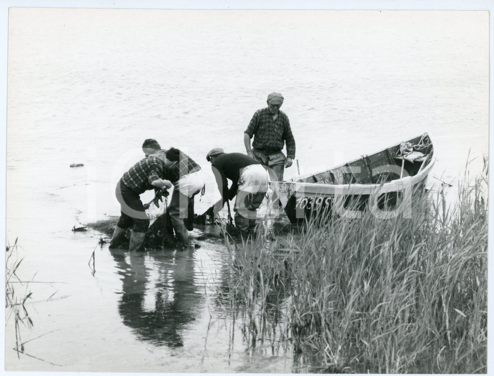 Fotografia d epoca originale 1970 ca CAMARGUE Pescatori sulle rive dell Étang de Vaccarès  Foto 23x18 cm 1
