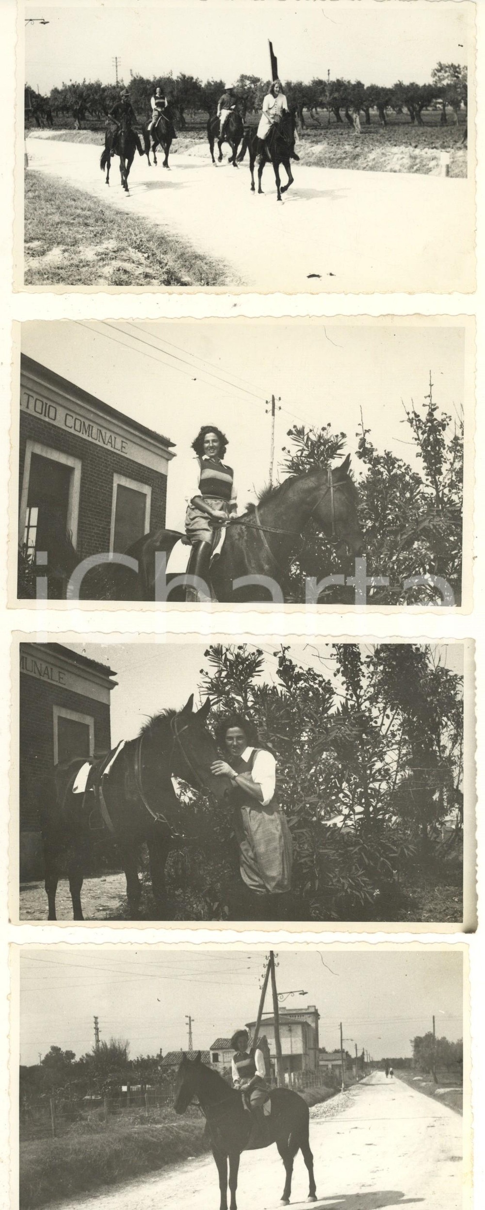 Fotografia d epoca originale 1940 ca TERMOLI Gita a cavallo  Mattatoio Comunale Lotto 4 foto 14x9 cm 1