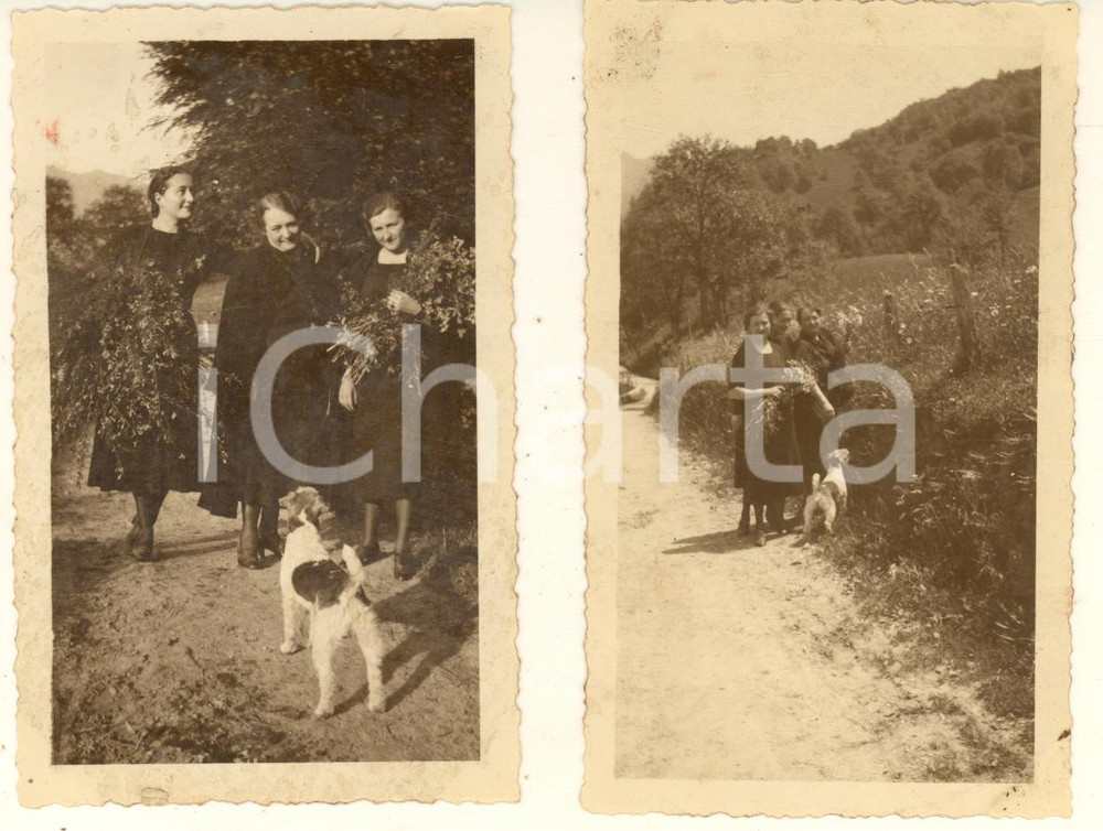 Fotografia d epoca originale 1935 MAGGIO / CREMENO Donne raccolgono fiori in campagna Lotto 2 foto 7x11 cm 1