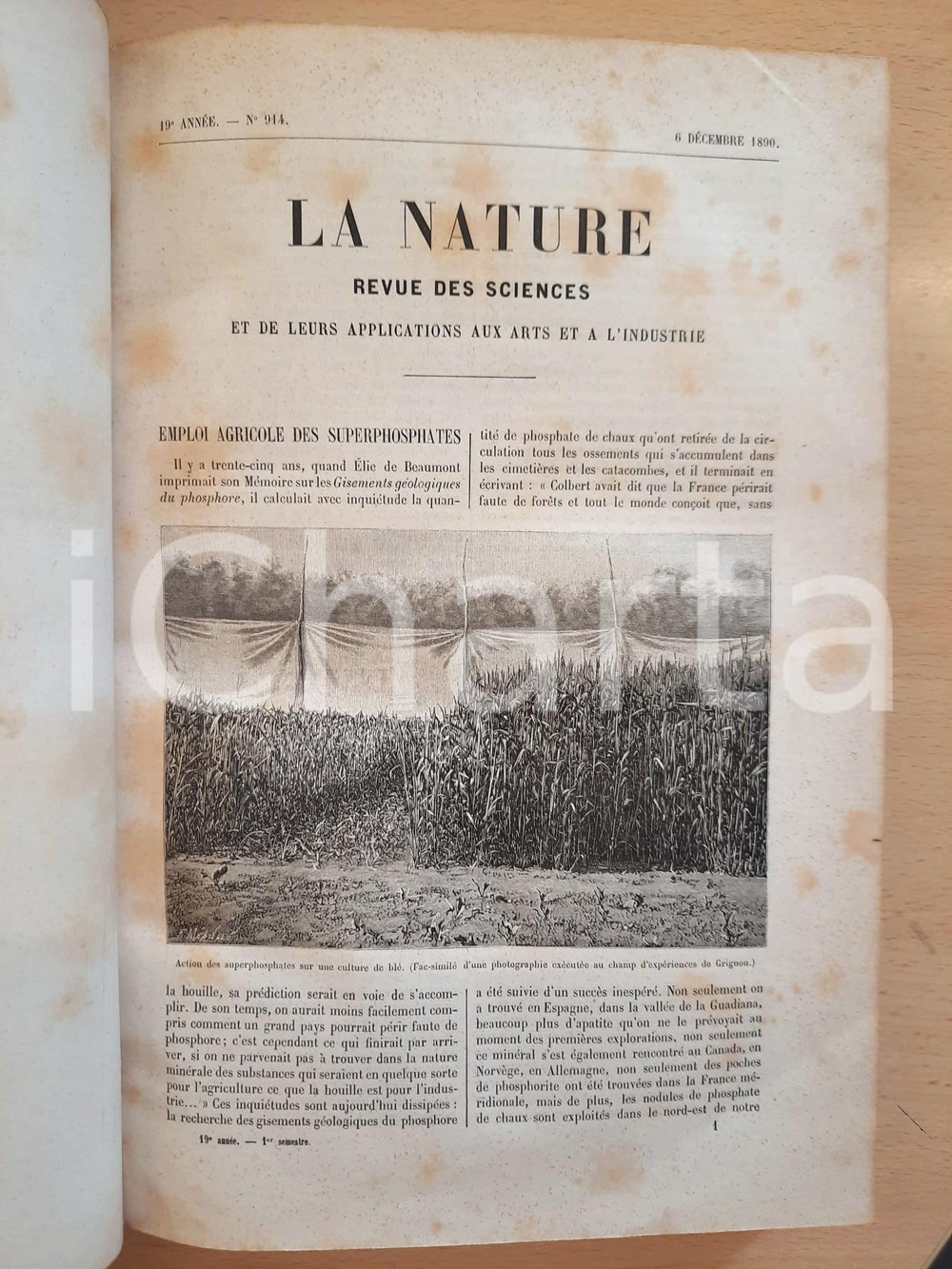 Libro, pubblicazione d epoca 1891 LA NATURE Revue des sciences  1er semestre Ed. MASSON 422 pp. 1