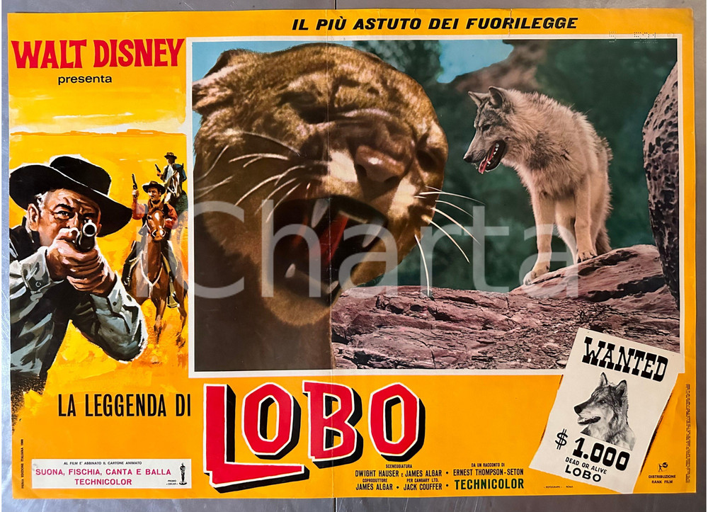 Materiale cinematografico d’epoca 1968 WALT DISNEY James ALGAR La leggenda di Lobo  Fotobusta poster 1