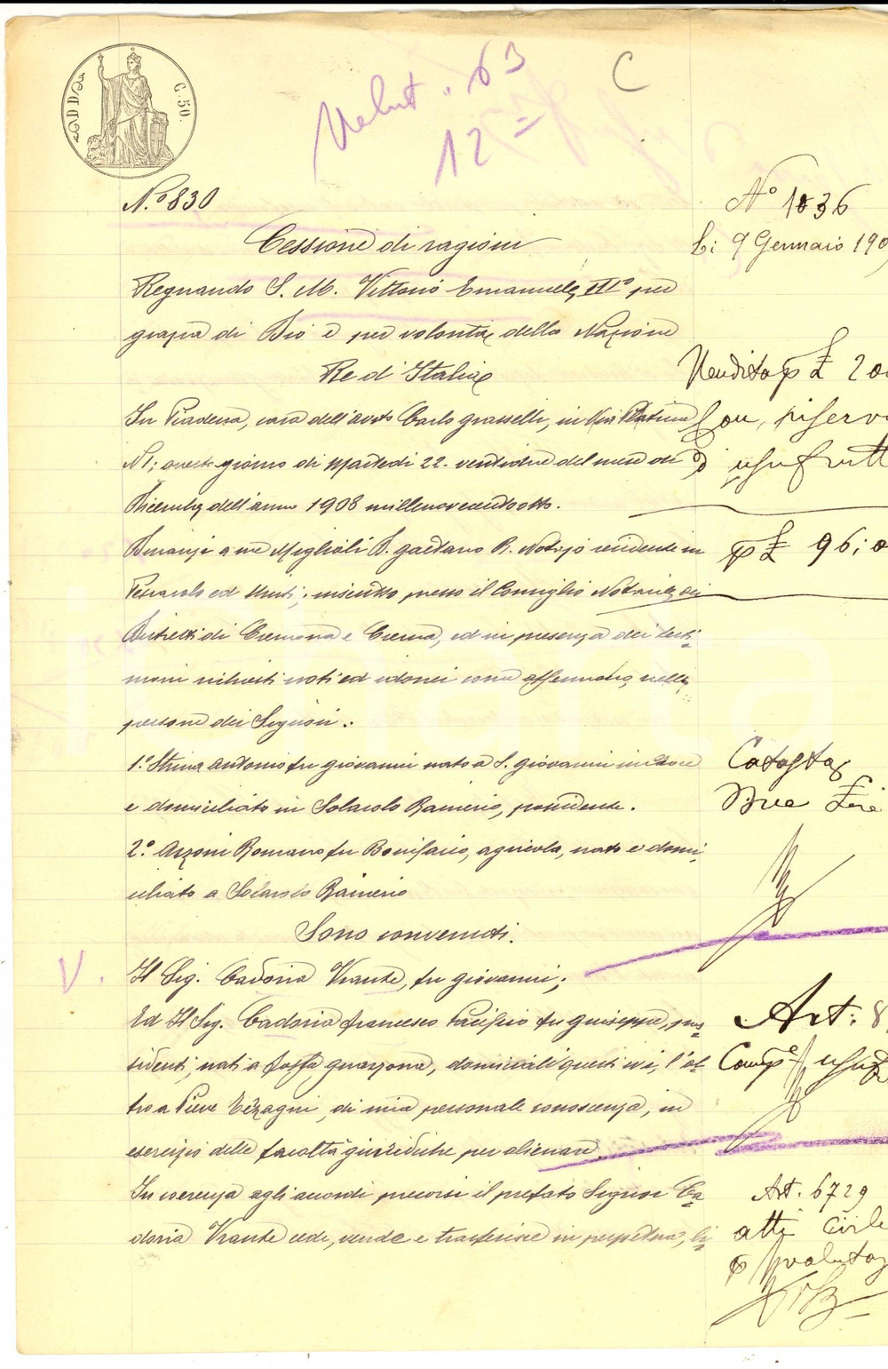 Documento originale, autentico 1908 CA  D ANDREA CR Cessione ragioni su terreni a Francesco Pacifico CADORIA 1
