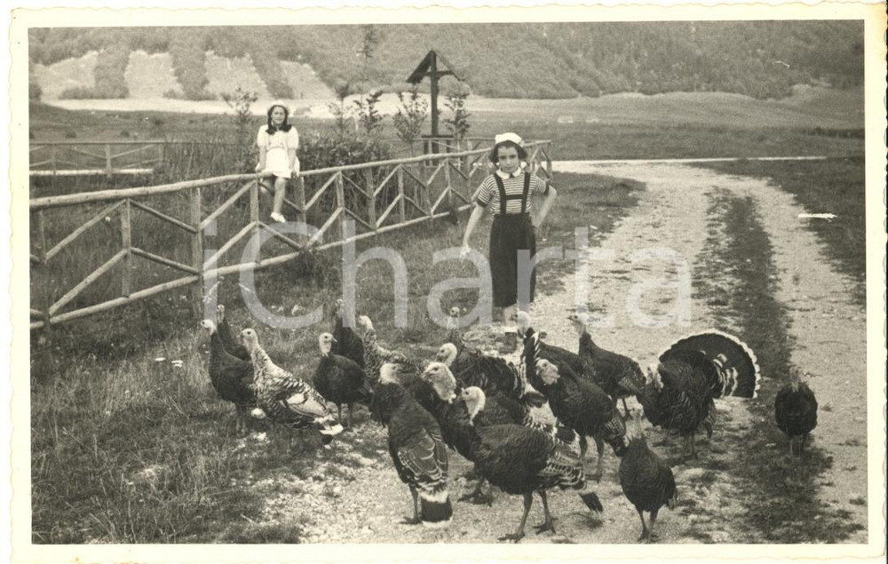 Fotografia d epoca originale 1949 CANSIGLIO / Prealpi Bellunesi  Bambine con tacchini Foto cartolina 1
