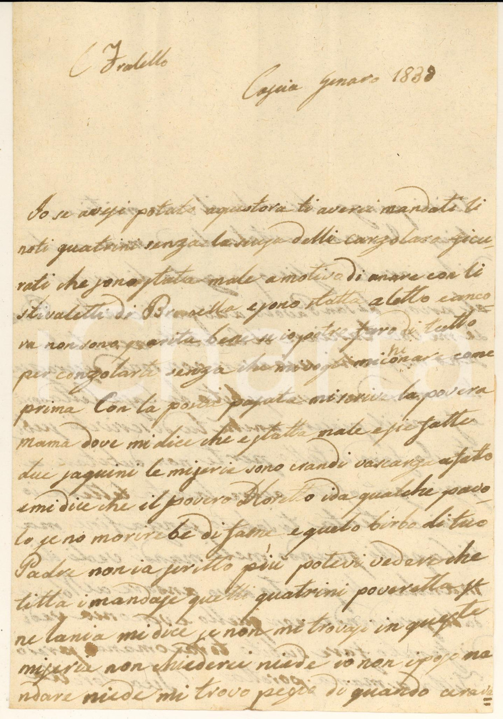 Manoscritto, lettera originale 1838 CASCIA Nobile Rosa LEONETTI Anche il vino mi tiene chiuso Lettera 1