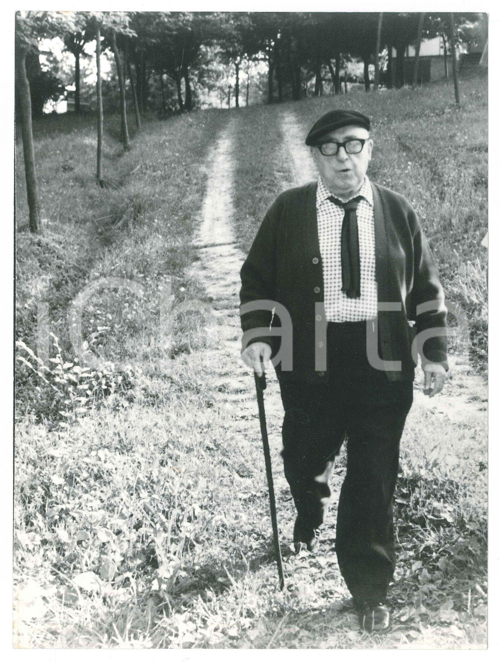 Fotografia d epoca originale 1980 ca CINEMA Cesare ZAVATTINI in campagna  Foto 17x23 cm 1