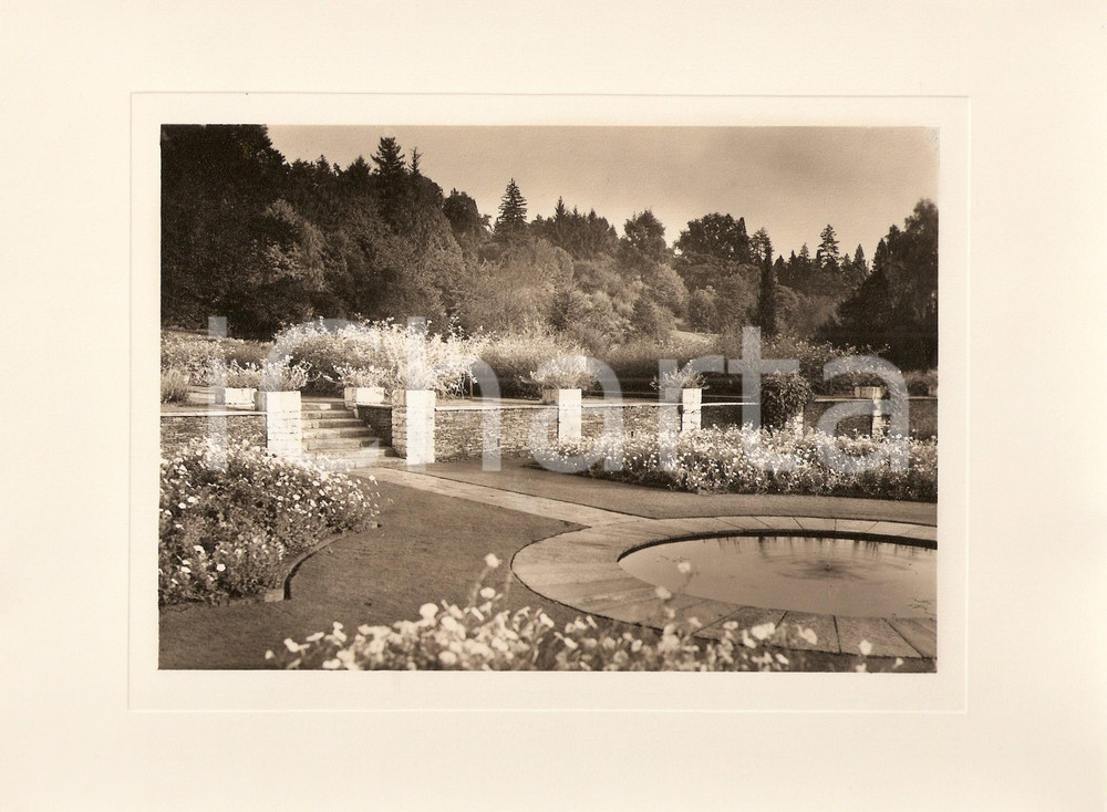 Fotografia d epoca originale 1940 ca INTRA Villa TARANTO Giardino botanico terrazzato Foto AUTENTICA COMETTO 1