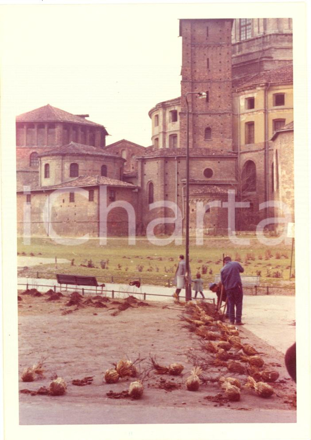Fotografia d epoca originale Febbraio 1970 MILANO Piazza Vetra  Giardinieri al lavoro Foto VINTAGE 9x12 1 1