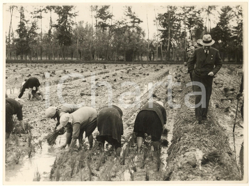 Fotografia d epoca originale 1936 ROZZANO MI Prefetto Riccardo MOTTA tra le mondine di una risaia Foto 1