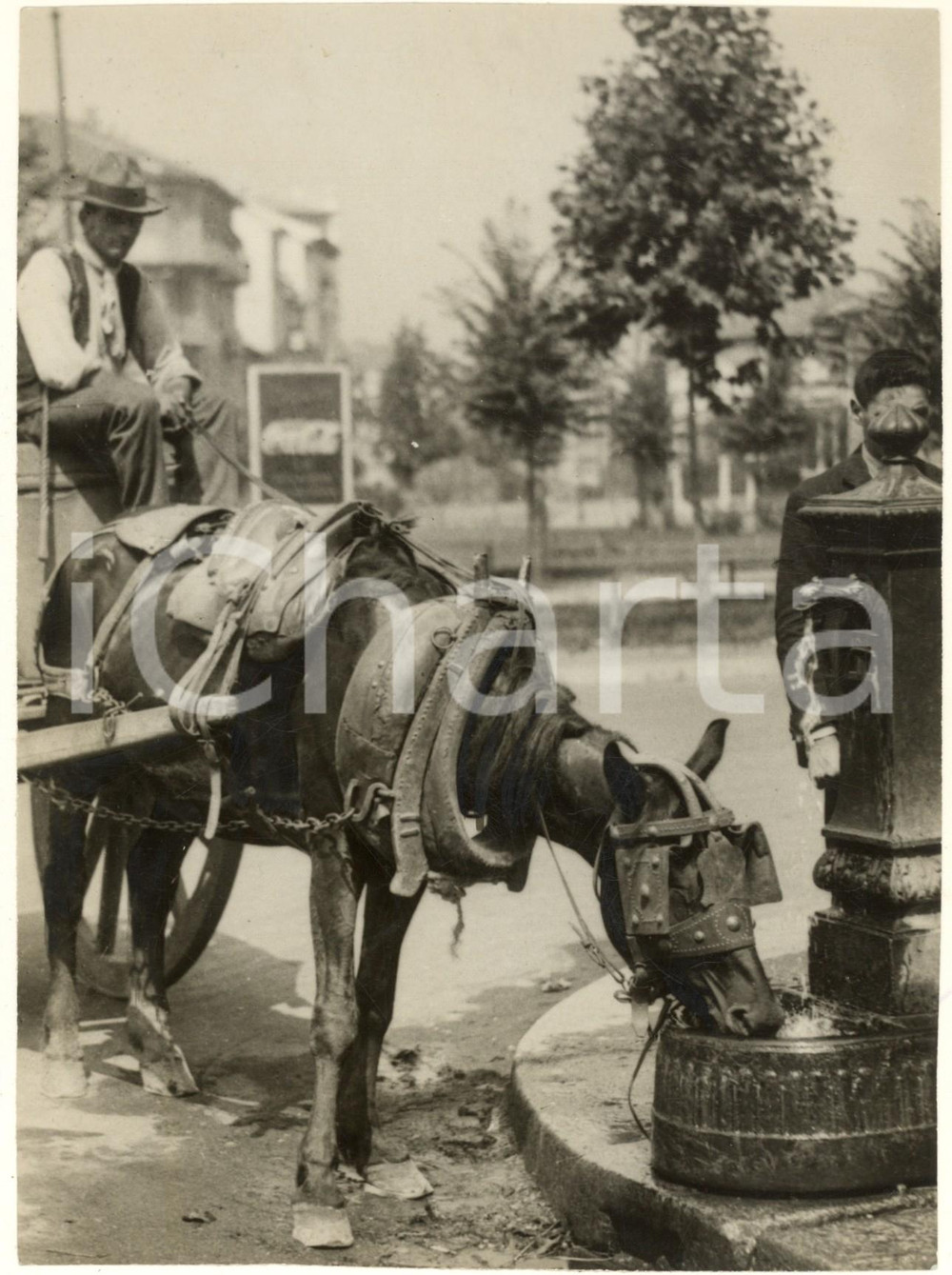 Fotografia d epoca originale 1933 COSTUME MILANO Cavallo abbeverato in una fontanella pubblica Foto 1