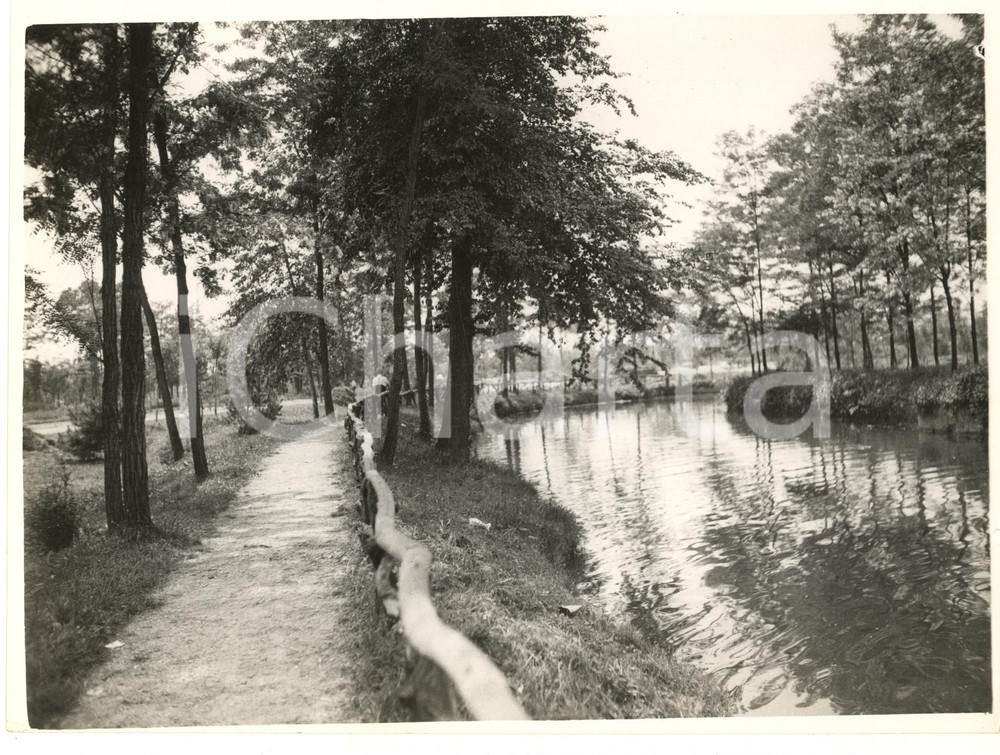 Fotografia d epoca originale 1937 MILANO Nuovo parco di LAMBRATE   Una veduta Foto 24x18 cm 1
