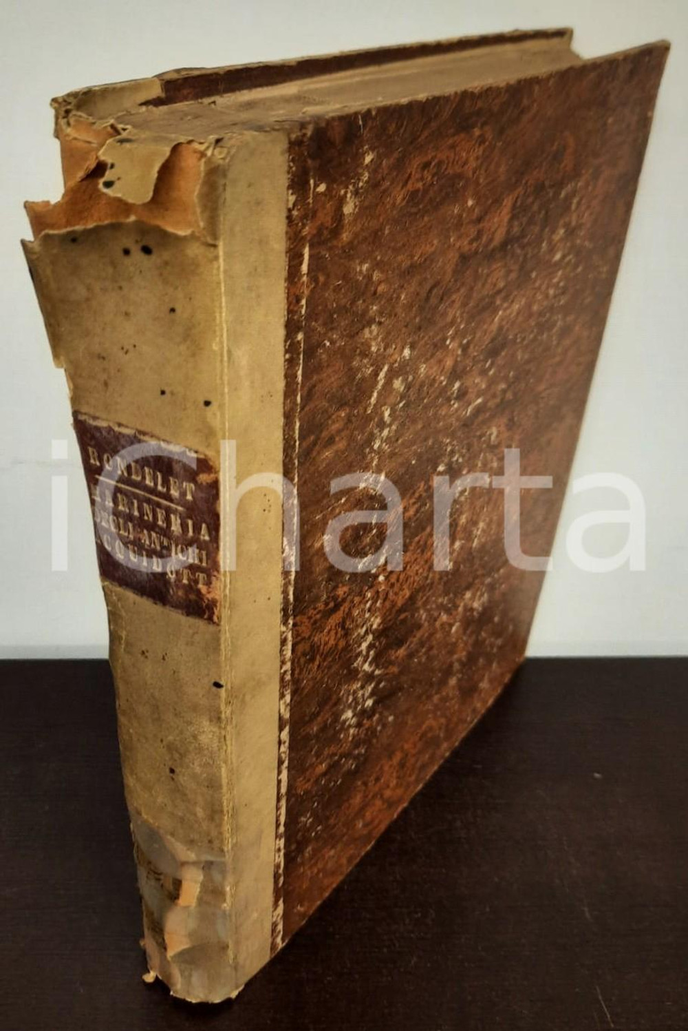 Libro, pubblicazione d epoca 1840 Opere di Giovanni RONDELET tradotte da SORESINA e MASIERI Con tavole 1