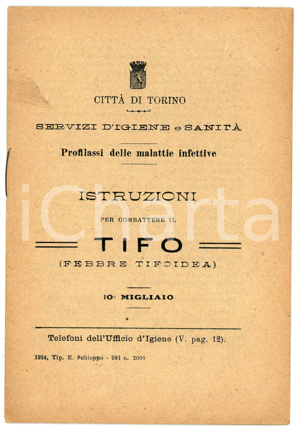 Libro, pubblicazione d epoca 1924 TORINO Servizi d igiene e sanità  Istruzioni per combattere il tifo 1