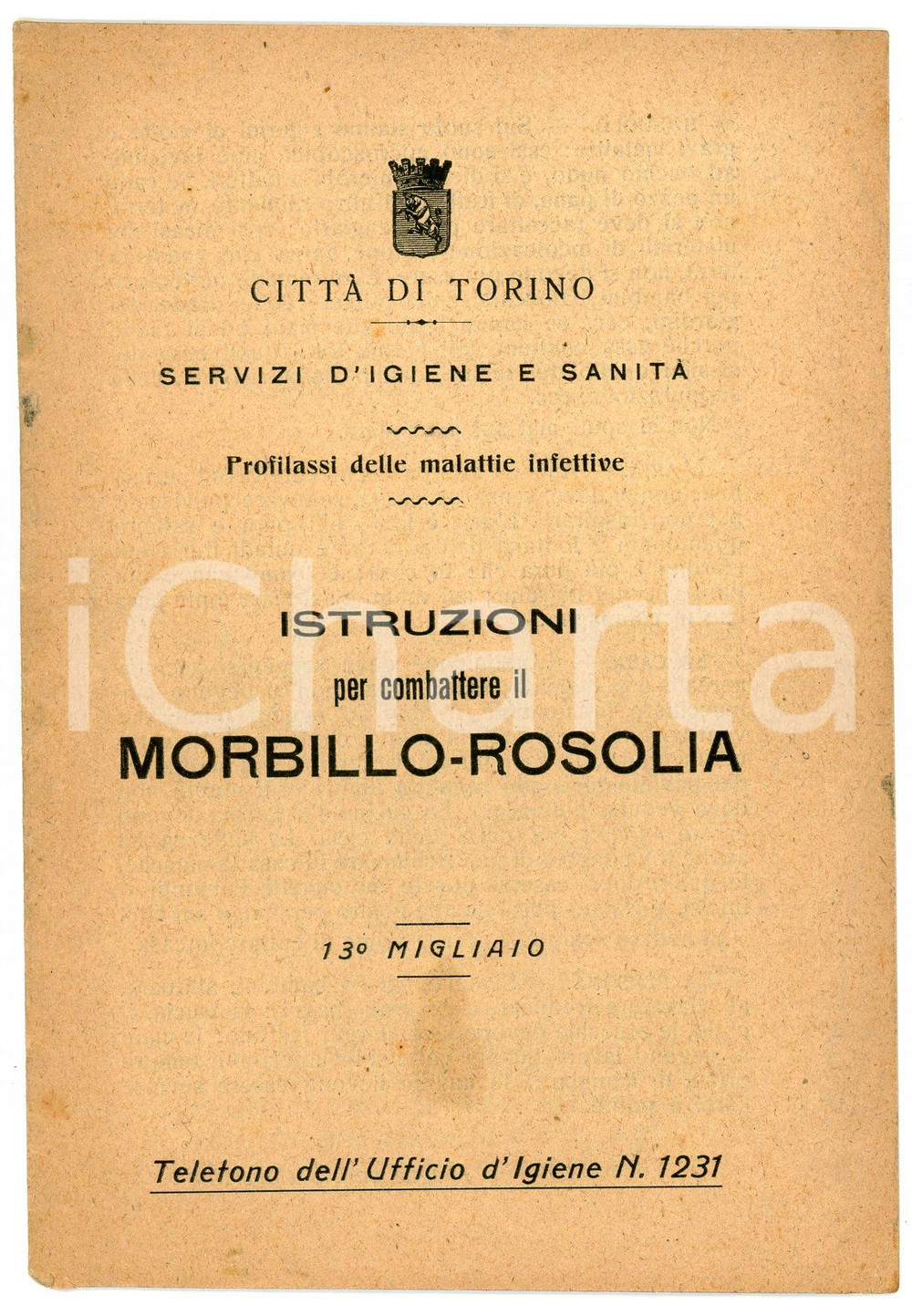 Libro, pubblicazione d epoca 1924 TORINO Servizi d igiene  Istruzioni per combattere morbillo e rosolia 1