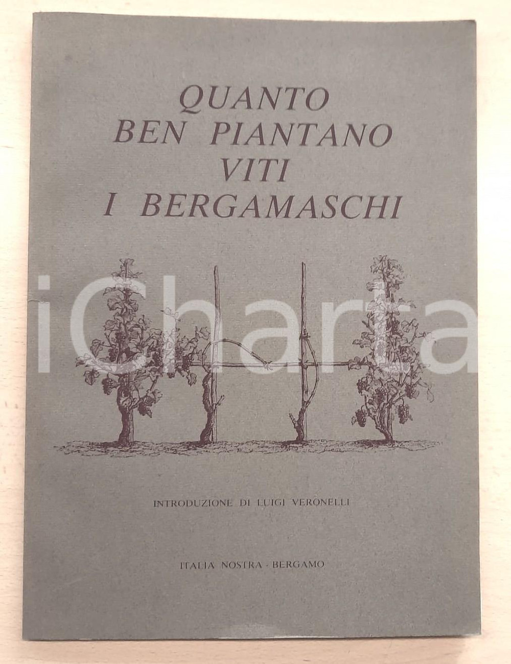 Libro, pubblicazione d epoca 1980 L. VERONELLI Quanto ben piantano viti i bergamaschi Italia Nostra BERGAMO 1