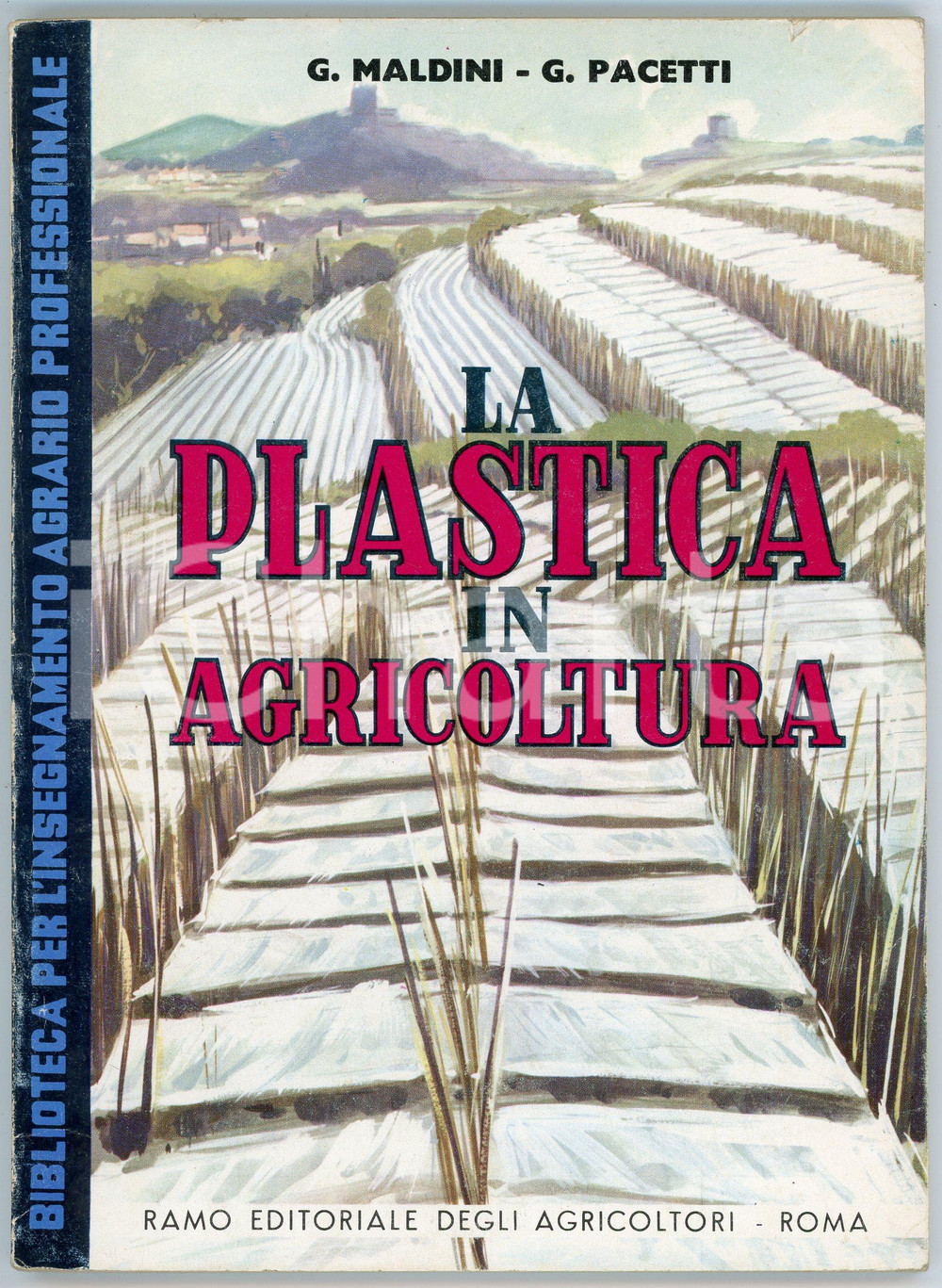 Libro, pubblicazione d epoca 1971 Gabriele MALDINI Giovanni PACETTI La plastica in agricoltura  Ed. RAMO 1