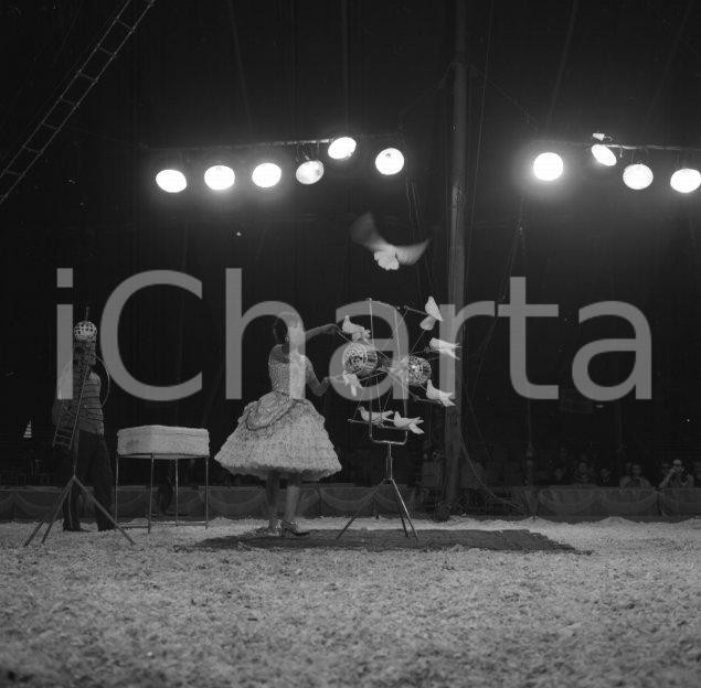 Fotografia d epoca originale 1967 Circo ORFEI il numero con colombe ammaestrate NEGATIVO ORIGINALE 1