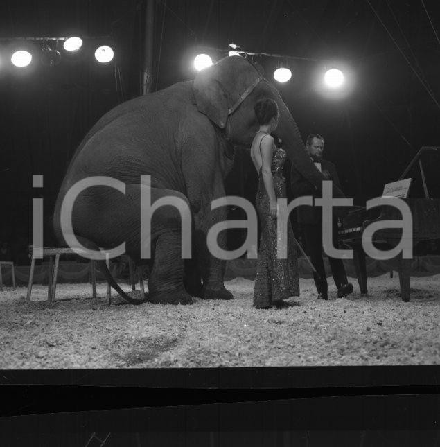Fotografia d epoca originale 1967 Circo ORFEI il numero con gli elefanti NEGATIVO ORIGINALE 1 1