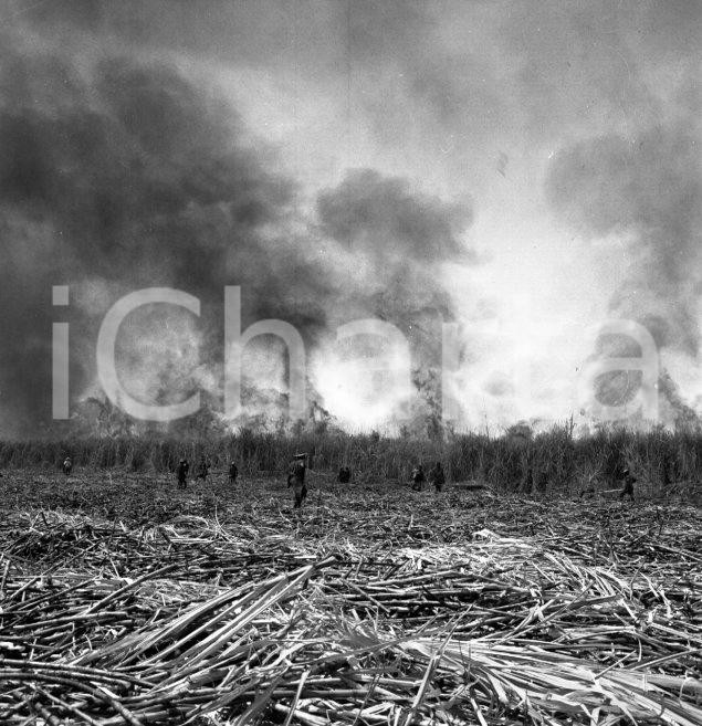Fotografia d epoca originale 1965 ca LUABO MOZAMBICO piantagione di canna da zucchero NEGATIVO ORIGINALE 9 1
