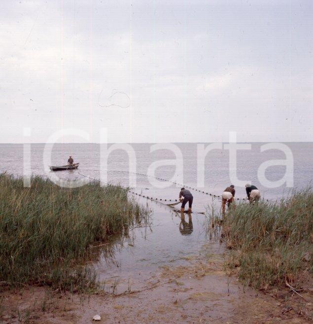 Fotografia d epoca originale 1960 ca CAMARGUE Pescatori sulla riva dell  Étang de Vaccarès POSITIVO ORIGINALE 1