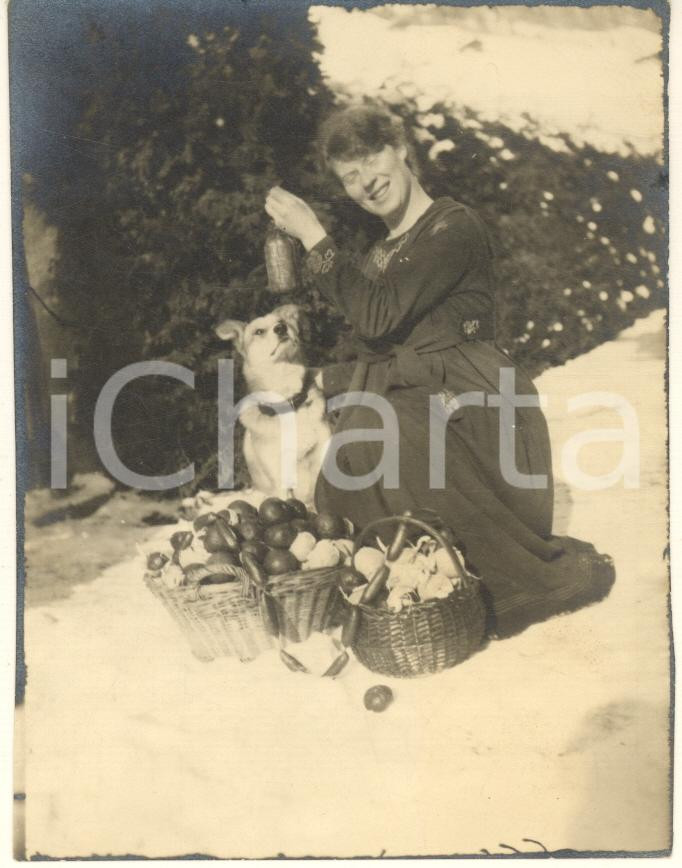 Fotografia d epoca originale 1910 ca ITALIA Donna nella neve con cestini e cane Foto anonima curiosa 8x11 1