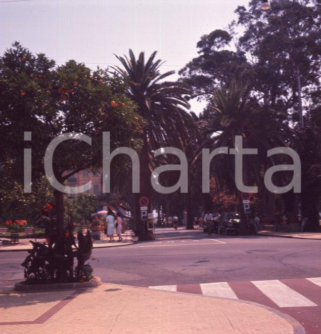 Fotografia d epoca originale 1960ca ALASSIO SV I giardini di Palazzo Ferrero POSITIVO ORIGINALE 1