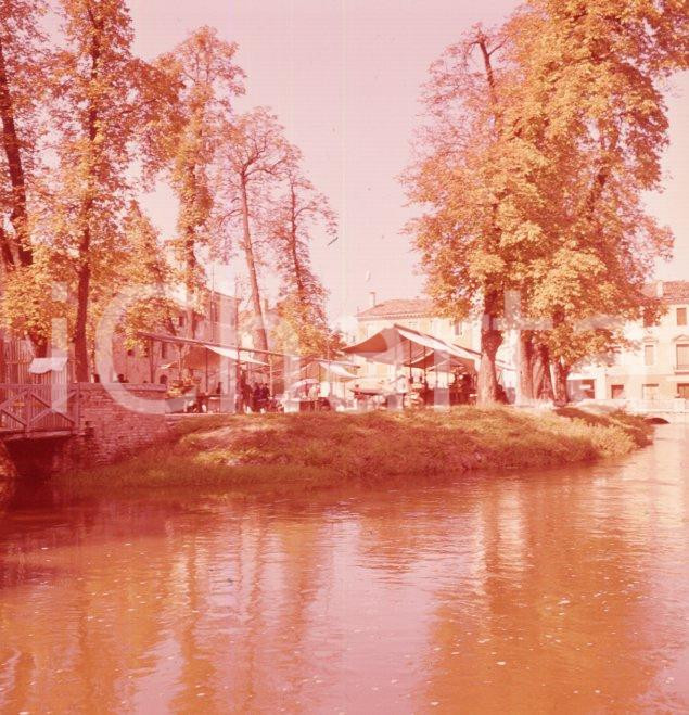 Fotografia d epoca originale 1960ca TREVISO Mercato del pesce sul Botteniga dai ponticelli POSITIVO ORIGINALE 1