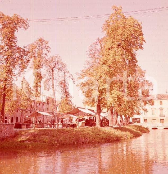 Fotografia d epoca originale 1960ca TREVISO Mercato del pesce sul Botteniga dai ponticelli POSITIVO ORIG. 1 1