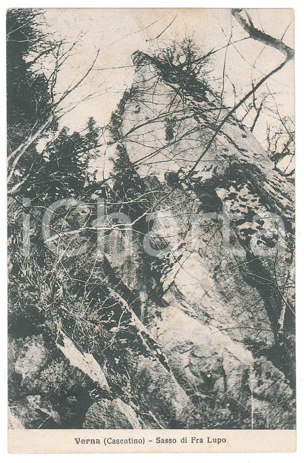 Cartolina originale da collezione 1930 ca CASENTINO Santuario della VERNA Sasso di Fra Lupo  Cartolina FP VG 1