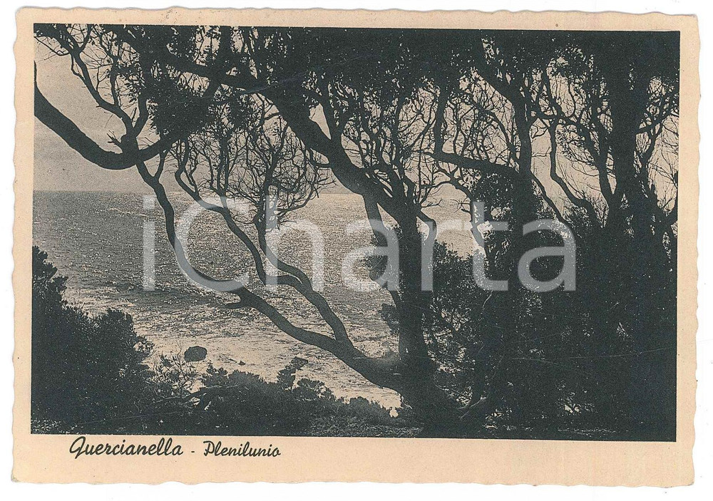 Cartolina originale da collezione 1950 ca LIVORNO Frazione QUERCIANELLA Panorama al plenilunio  Cartolina FG VG 1
