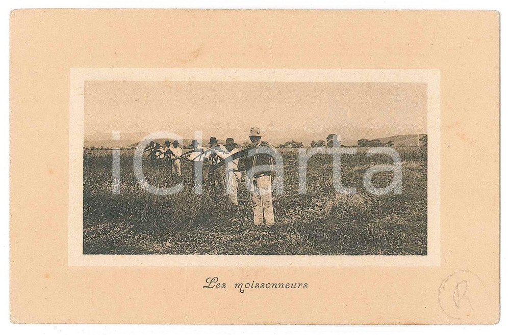 Cartolina originale da collezione 1930 ca FRANCE Les moissonneurs  Carte postale FP NV 1