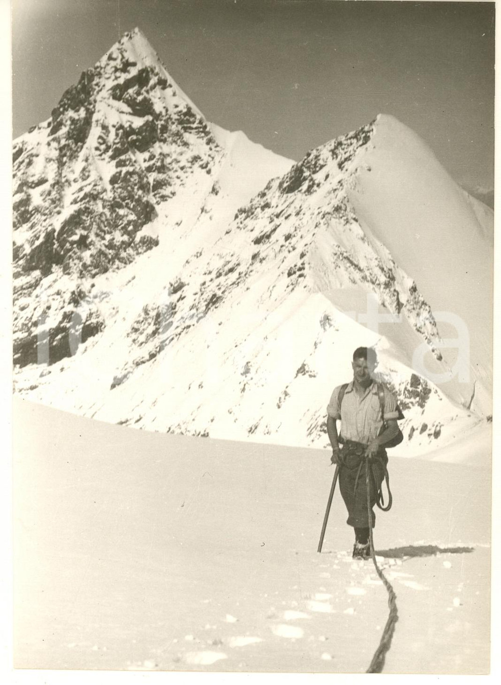 Fotografia d epoca originale 1950 ca ALPINISMO ORTLES Salita a Punta Thurwieser  Foto 13x18 cm 1