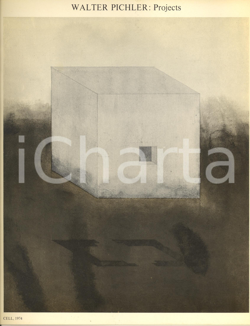 Libro, pubblicazione d epoca 1975 NEW YORK  MOMA  Catalog exhibition WALTER PICHLER: Projects 11 p. 1