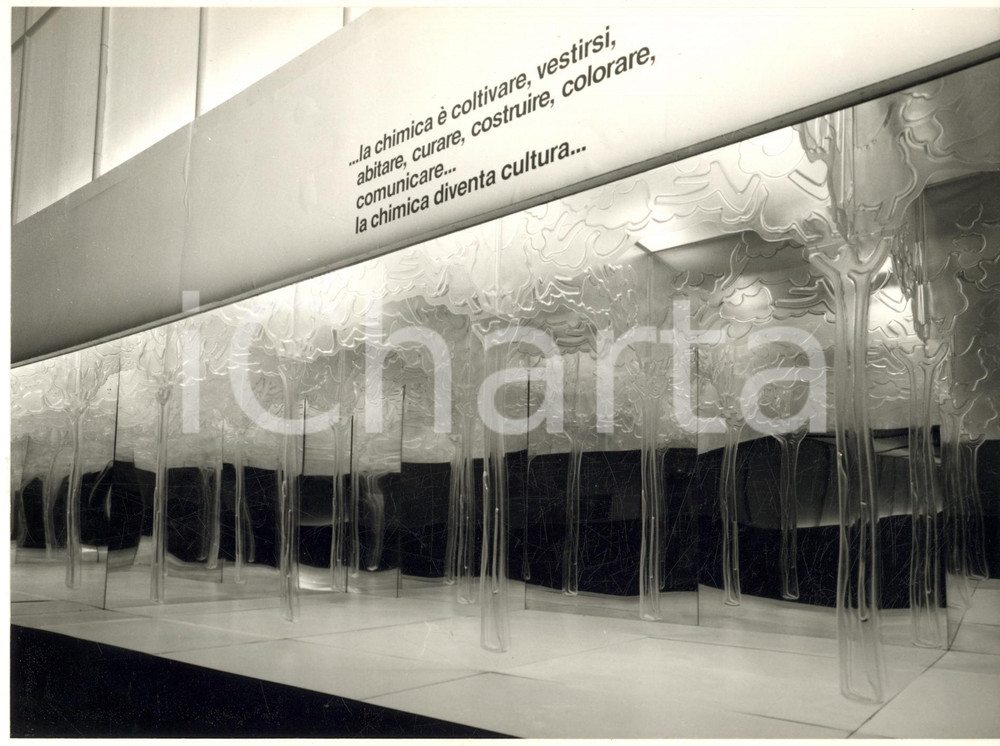 Fotografia d epoca originale 1977 FIERA DI MILANO Padiglione MONTEDISON  Bosco di Gino MAROTTA Foto 24x18 1