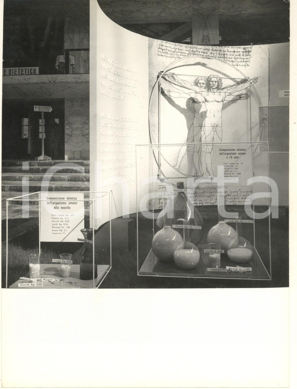 Fotografia d epoca originale 1959 ROMA Istituto Superiore di Sanità  Mostra Foto 24x18 cm 2 1