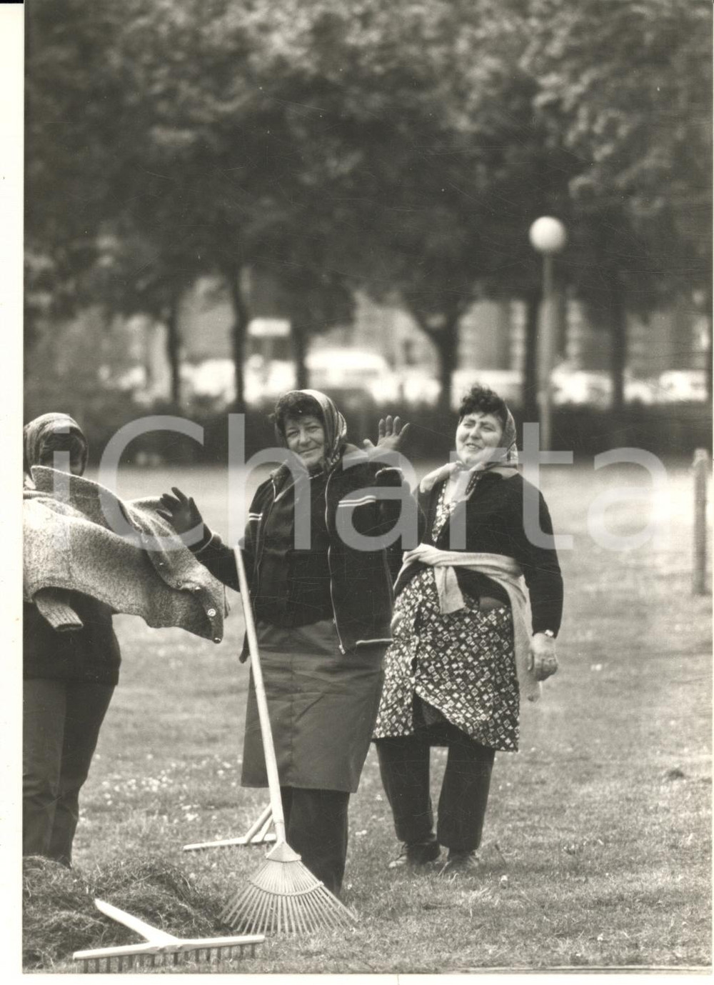 Fotografia d epoca originale 1980 ca WIEN RATHAUSPARK Operaie rastrellano i giardini Foto 1 1
