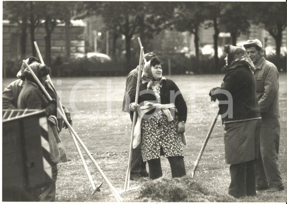Fotografia d epoca originale 1980 ca WIEN RATHAUSPARK Operaie rastrellano i giardini Foto 2 1