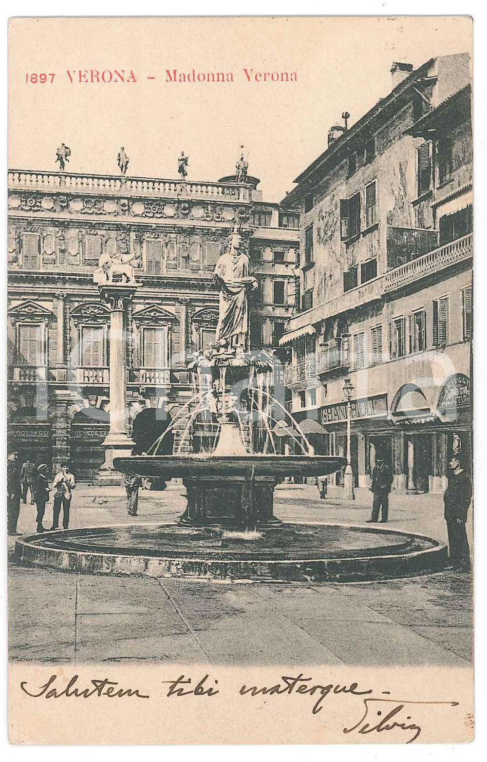 Cartolina originale da collezione 1905 VERONA Piazza erbe  Fontana di Madonna Verona  Cartolina FP VG 1