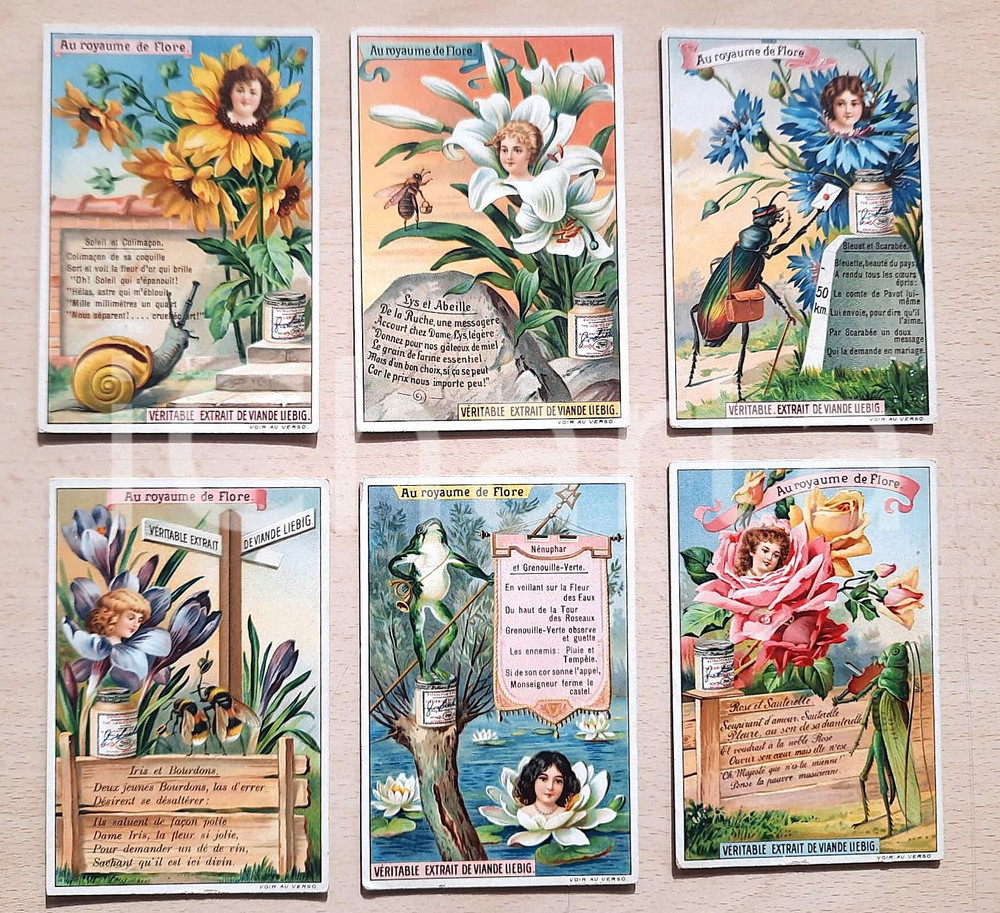Materiale pubblicitario d’epoca 1890 ca FRANCE  LIEBIG  Lot 6 chromo cards Au royaume de Flore 1